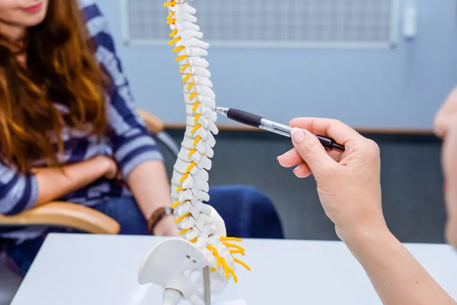 Chiropractor explaining a spine model during a consultation