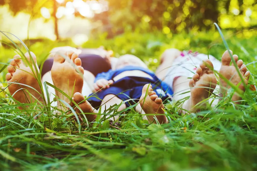 Custom chiropractic wellness plan